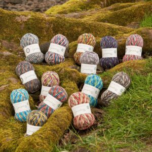 WYS Signature 4 Ply sock yarn Country Birds