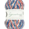 WYS Signature 4 Ply sock yarn Country Birds - Image 12