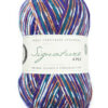 WYS Signature 4 Ply sock yarn Country Birds - Image 13