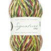WYS Signature 4 Ply sock yarn Country Birds - Image 15