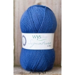 WYS Spice Rack sock yarn Juniper