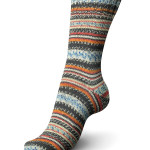Regia Design Line Arne & Carlos sock yarn; Fall Night 3655