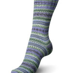 Regia Design Line Arne & Carlos sock yarn; Winter Night 3658