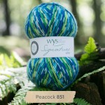 West Yorkshire Spinners sock yarn Peacock