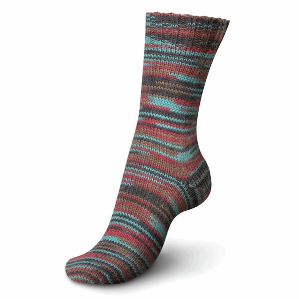 Regia 6 Ply Colour Sock Yarn - The Sock Yarn Shop