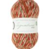 Signature 4 ply gingerbread