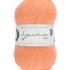 WYS Signature 4 Ply - Image 8